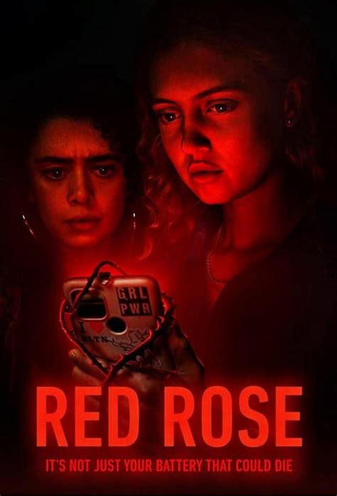 red rose serie-1